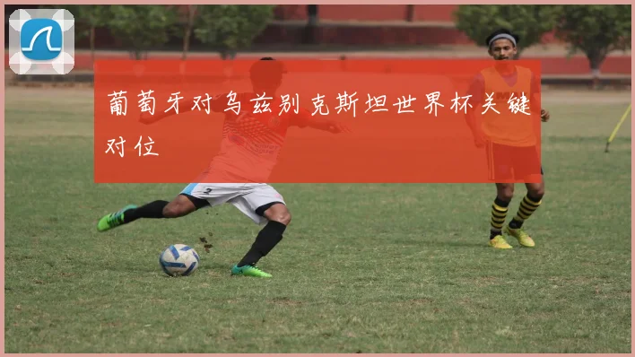 葡萄牙对乌兹别克斯坦世界杯关键对位