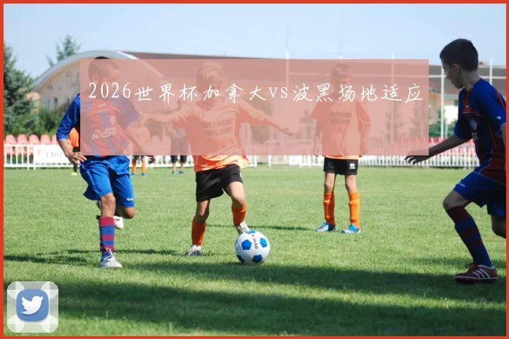 2026世界杯加拿大vs波黑场地适应