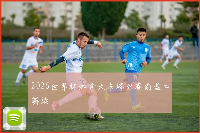 2026世界杯加拿大卡塔尔赛前盘口解读