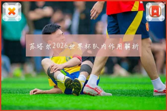 苏塔尔2026世界杯队内作用解析