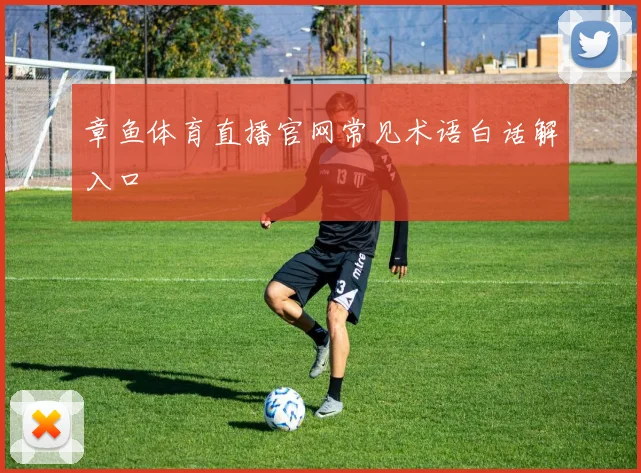 章鱼体育直播官网常见术语白话解入口