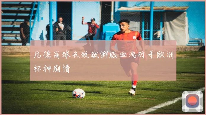 厄德高球衣致敬挪威血洗对手欧洲杯神剧情
