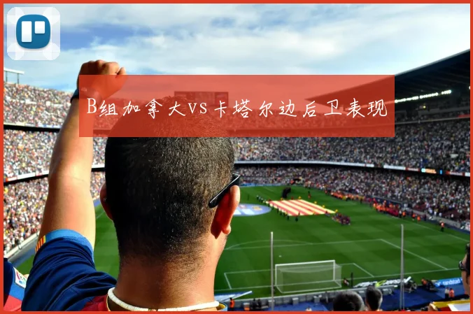 B组加拿大vs卡塔尔边后卫表现