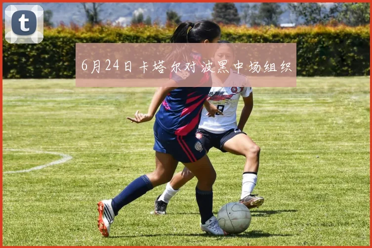 6月24日卡塔尔对波黑中场组织