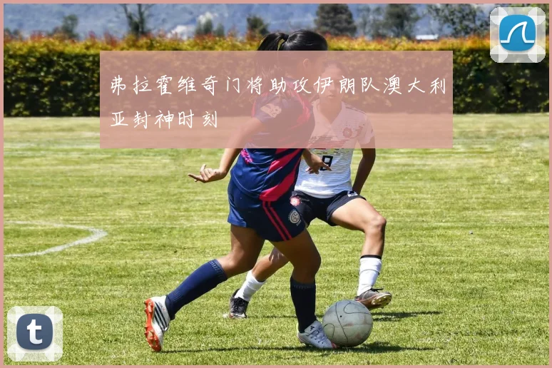 弗拉霍维奇门将助攻伊朗队澳大利亚封神时刻