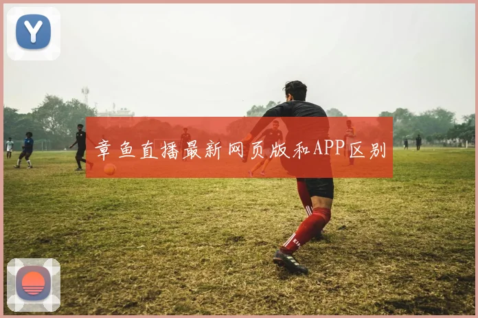 章鱼直播最新网页版和APP区别
