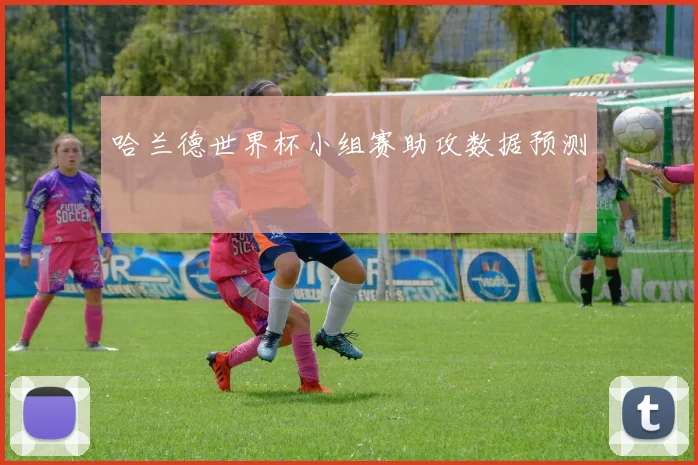 哈兰德世界杯小组赛助攻数据预测